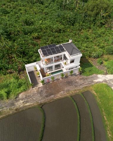 Exterior,Rice fields