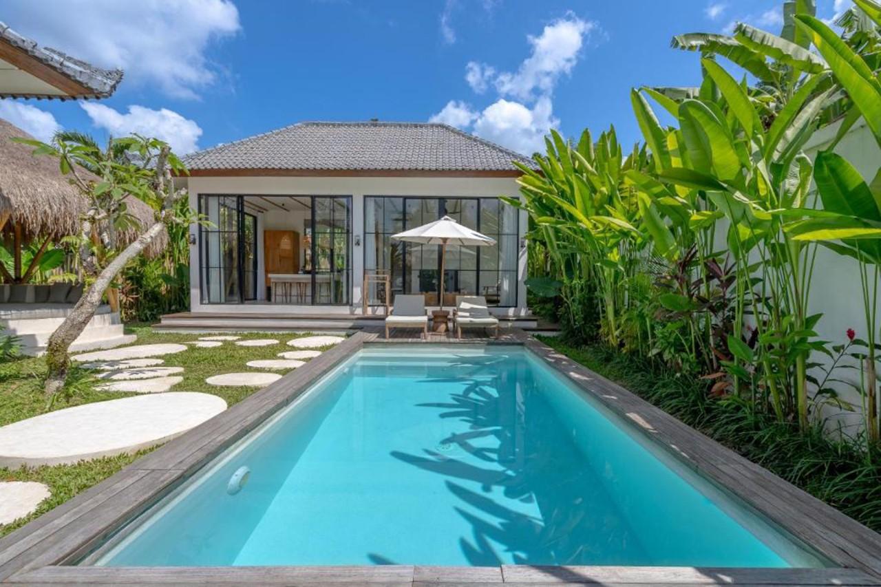 Swimming pool,Garden