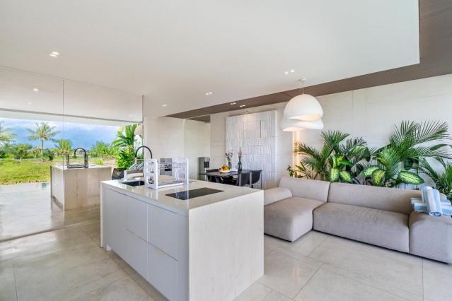 Living room,Kitchen,View