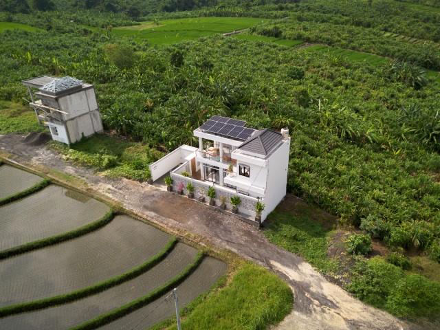 Exterior,Rice fields
