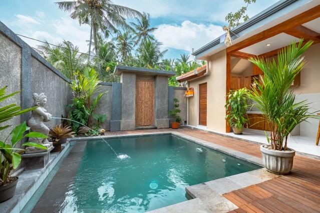 Swimming pool,Garden