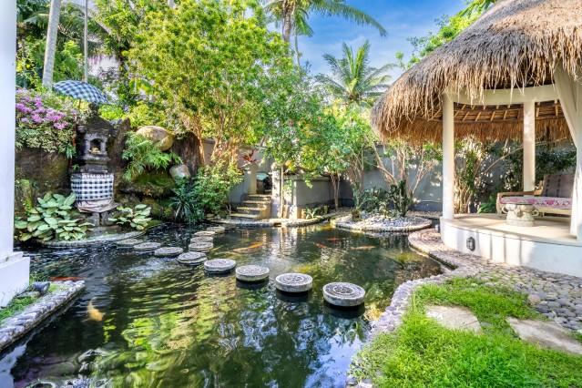 Fishpond,Garden,Territory of the resort